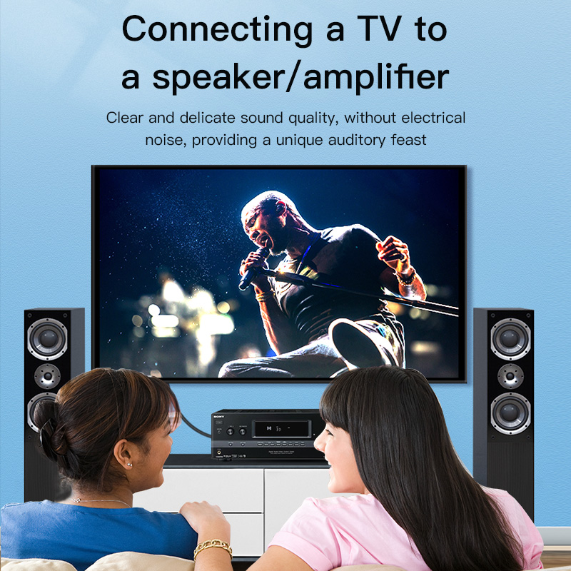 كابل RCA من CHOSEAL، كابل صوت  - مراجعة Home Cinema Amplifier وسعره